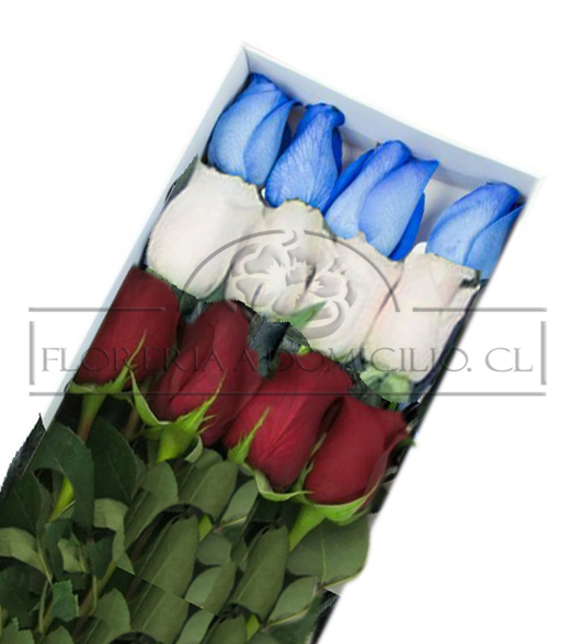 Caja de 12 Rosas Colores de la Bandera